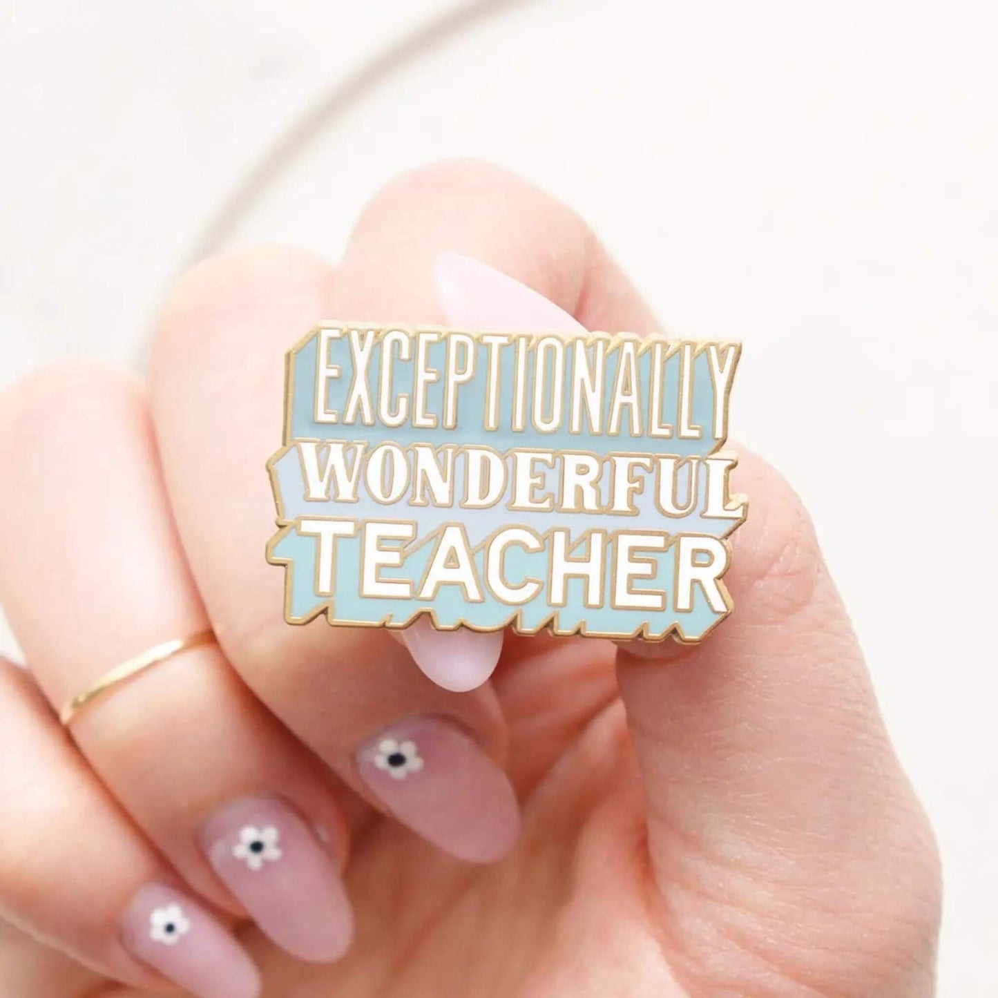 Exceptionally Wonderful Teacher enamel pin badge