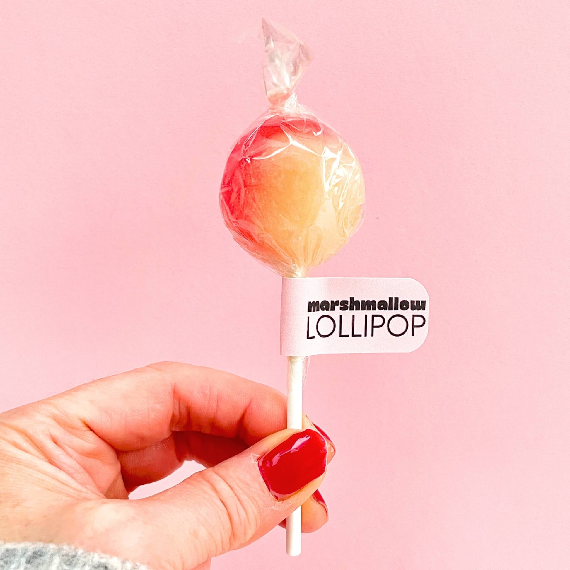 Hand holding a marshmallow flavoured lollipop on a stick