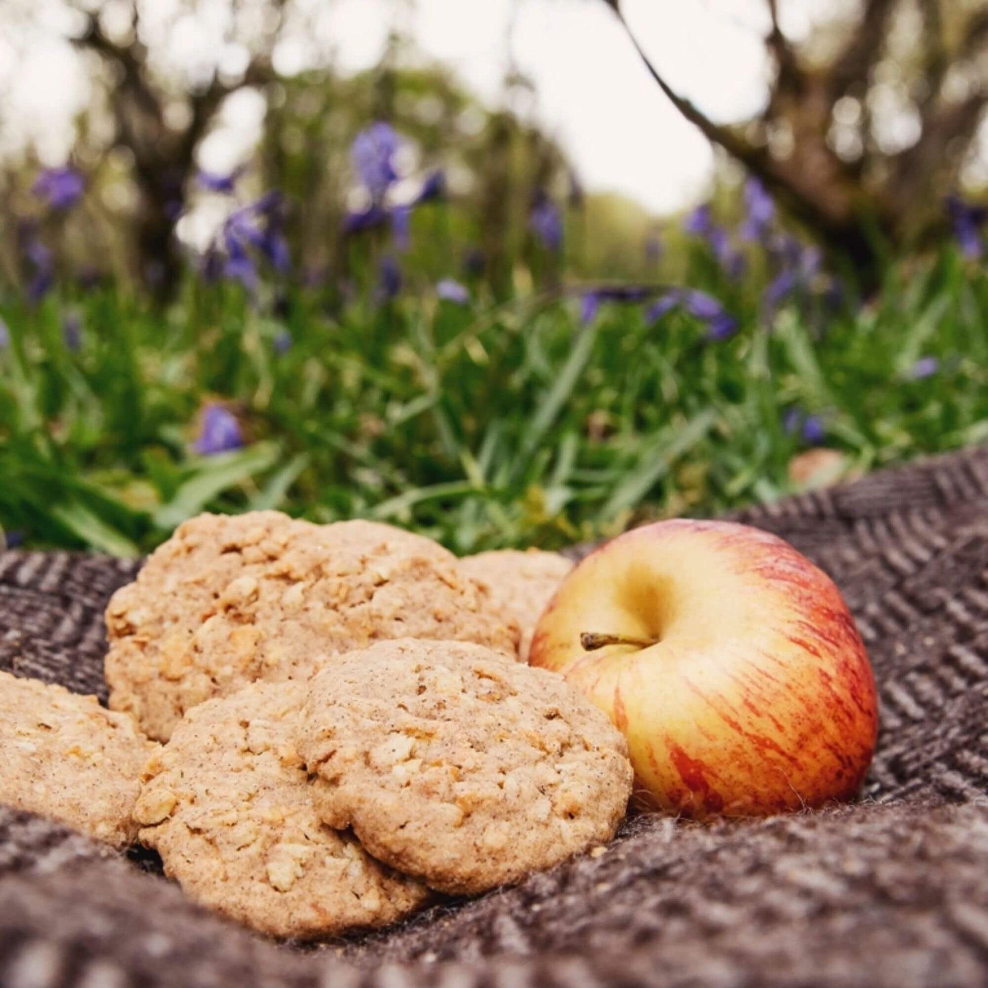 Organic Apple Crumble Biscuits by Island Bakery with a fresh apple in an outdoor setting.