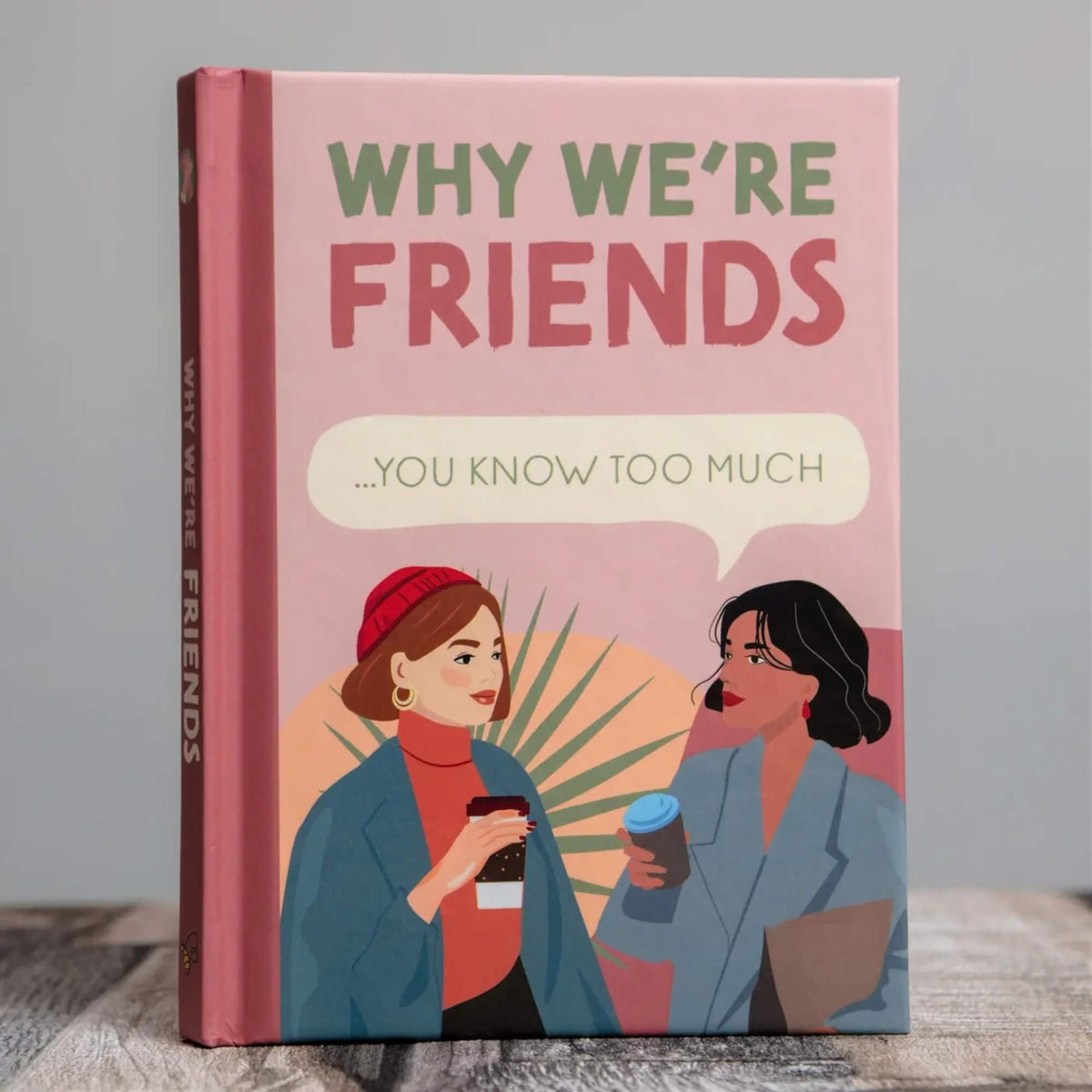 Why We’re Friends best friend gift book with pink illustrated hardback cover